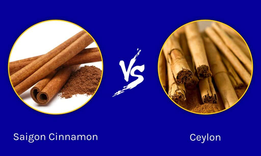 Ceylon vs. Saigon Cinnamon: Unraveling the Spice Saga. Delve into the unique flavors and characteristics of these two distinct cinnamon vari..
